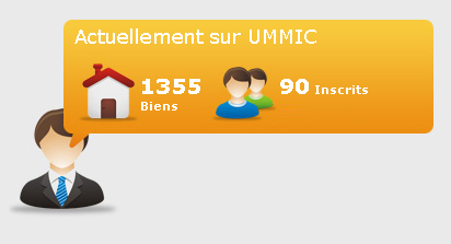 Ummic immobilier