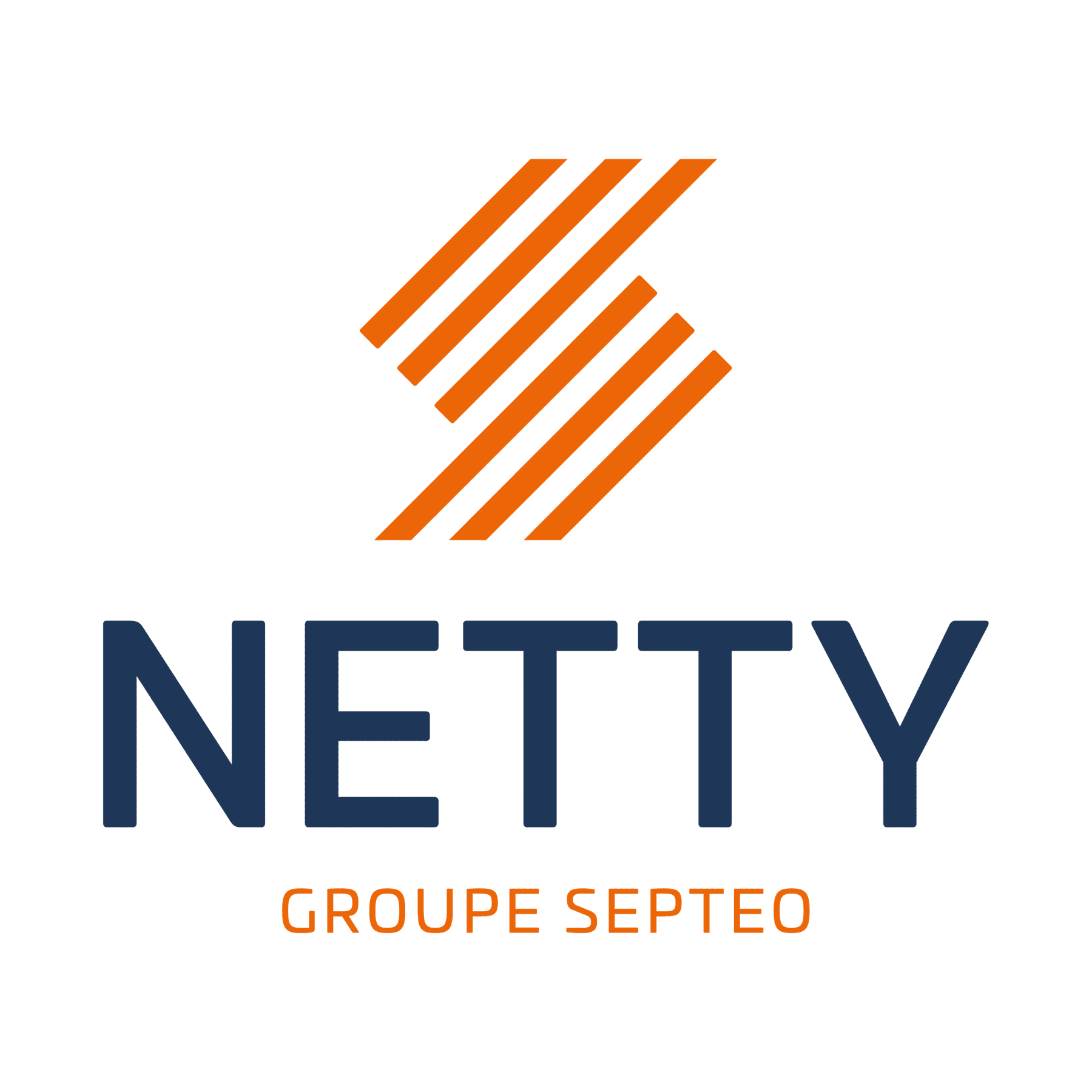Logo Netty