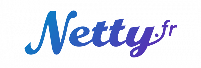 Logo Netty