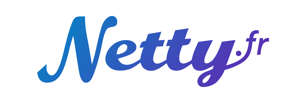 Logo Netty Immo2 0