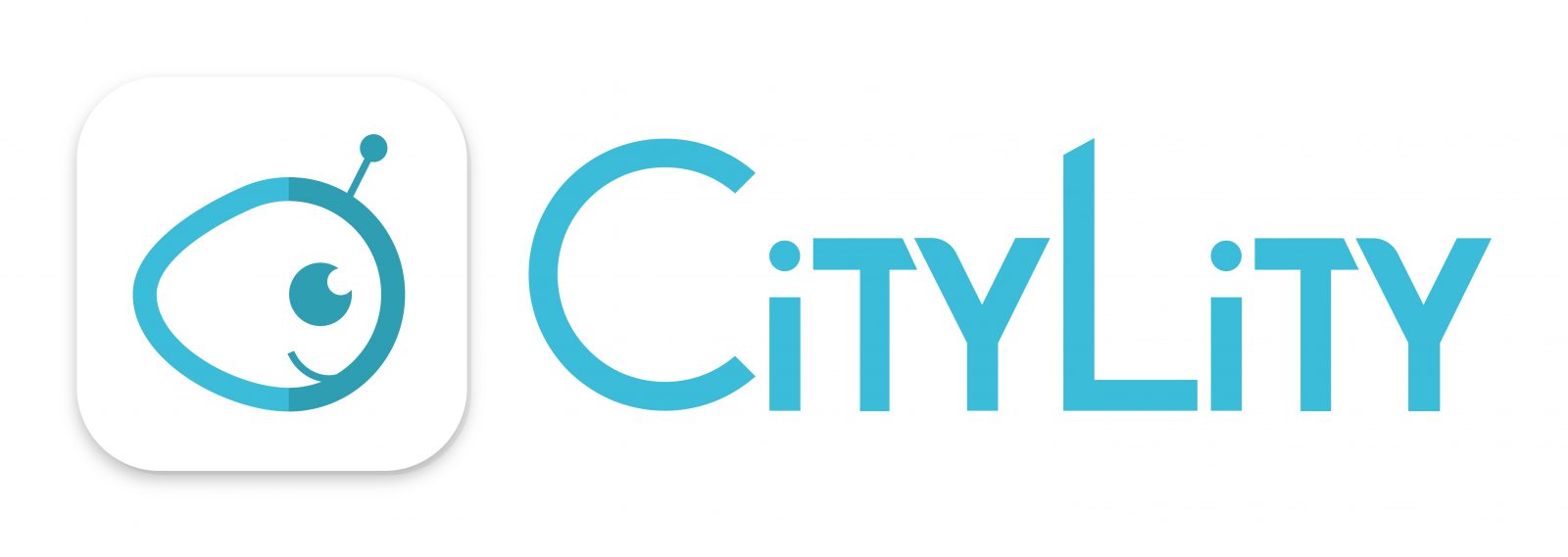 Logo CityZendesk – Ex Citylity