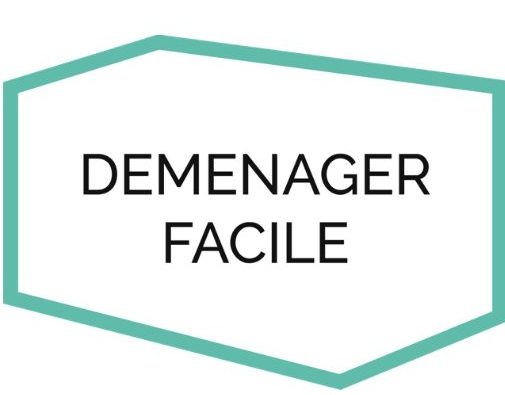 Demenagerfacile Logo Immobilier Services Demenagement
