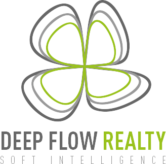 Logo Deep Flow Realty