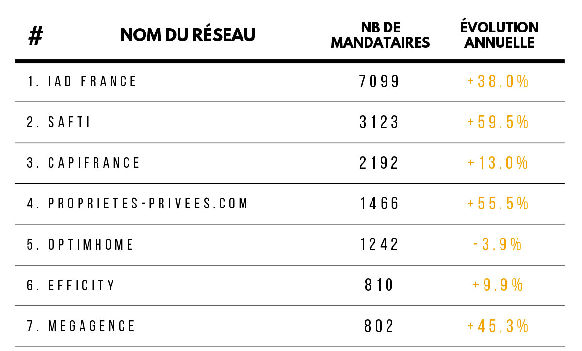 Classement Mandataires Immobiliers France 2019 Extrait