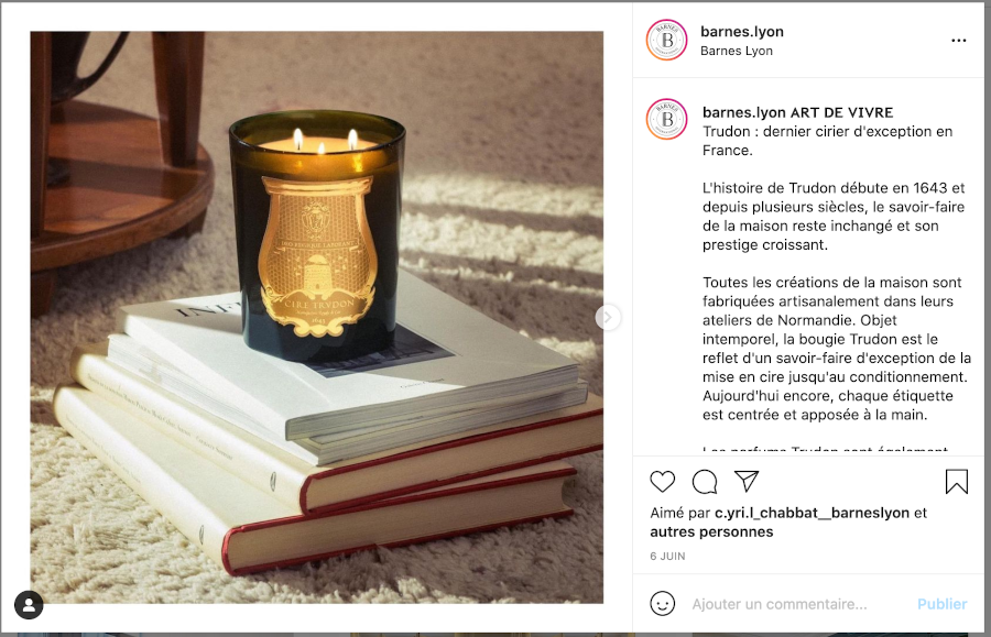 Barnes Lyon Compte Instagram 5 Branding Immobiliers