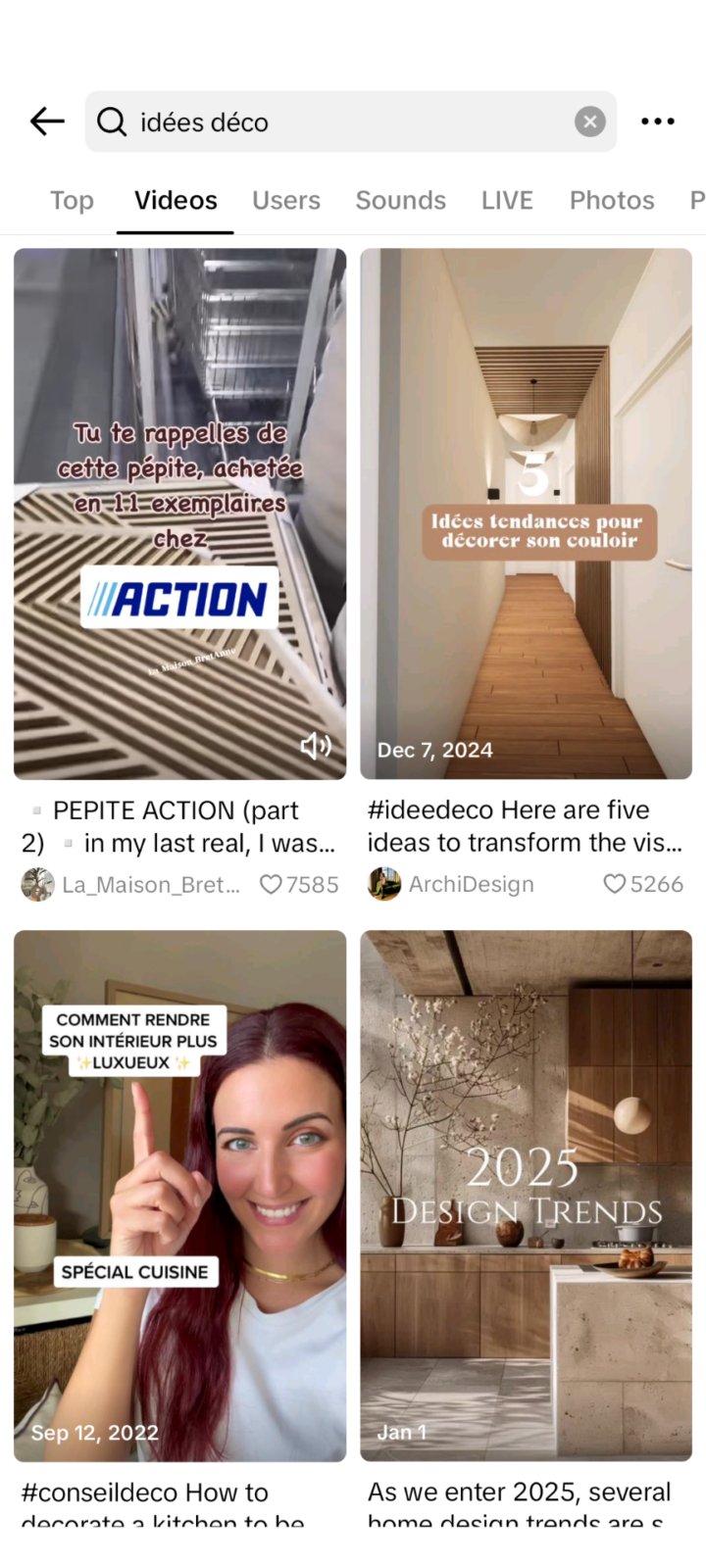 Exemple De Recherche Sociale Sur Tiktok